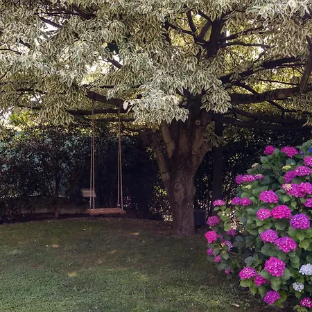 Rosa - Harmonious And Welcoming * Brebbia