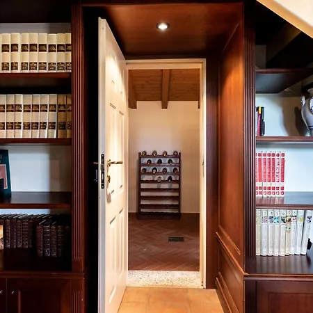 Rosa - Harmonious And Welcoming *