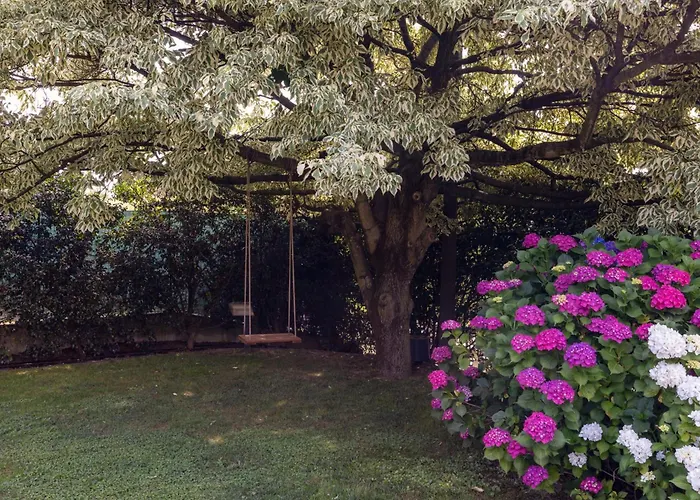 Rosa - Harmonious And Welcoming * Brebbia