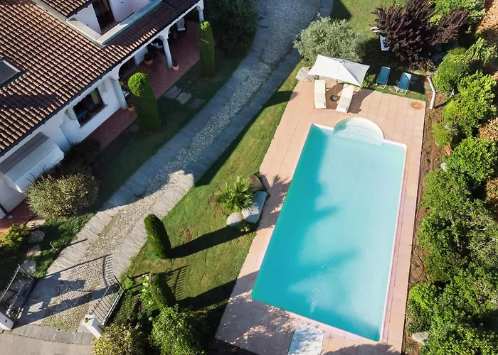 Rosa - Harmonious And Welcoming *