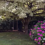 Rosa - Harmonious And Welcoming * Brebbia