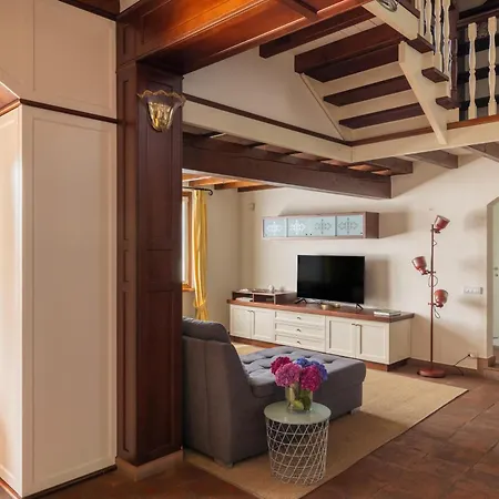 Rosa - Harmonious And Welcoming