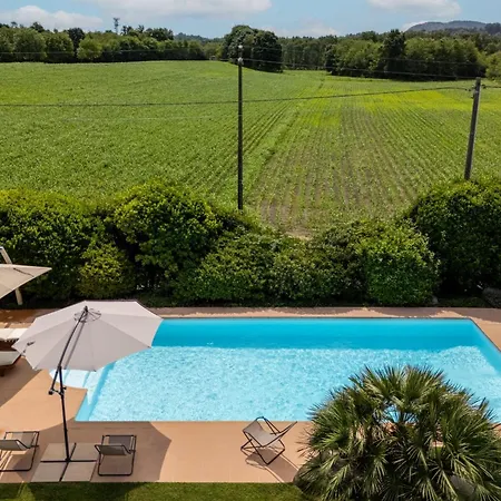 Rosa - Harmonious And Welcoming *