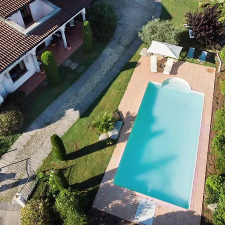 Rosa - Harmonious And Welcoming *