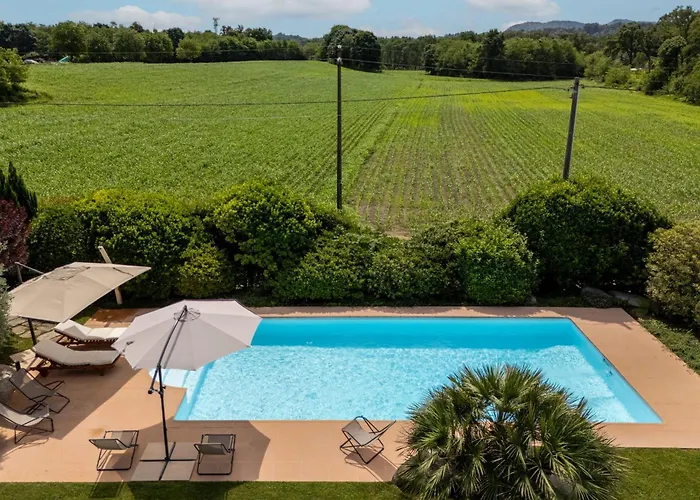 Rosa - Harmonious And Welcoming *