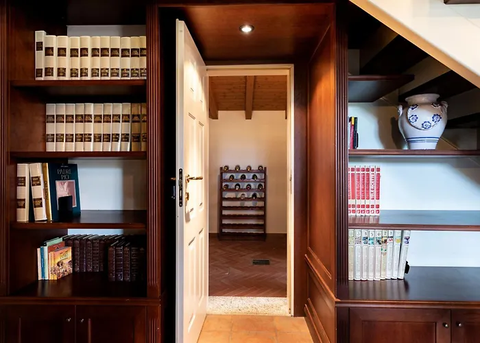 Rosa - Harmonious And Welcoming *