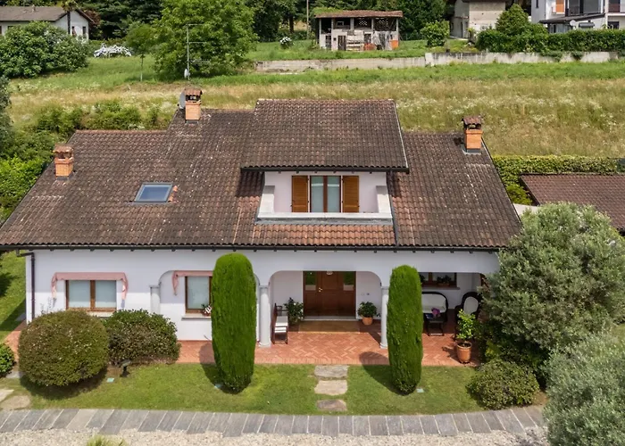 Rosa - Harmonious And Welcoming *